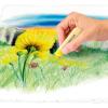 imageSTAEDTLER Karat Premium Quality Soft Pastel Chalks 2430C2424 Count Pack of 1